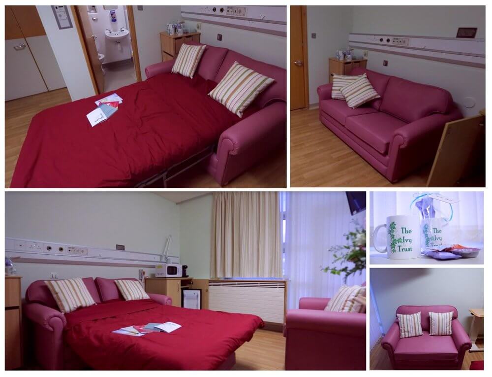 Maintaining The Ivy Room